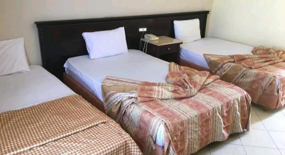 Regency Lodge Resort Şarm El-Şeyh Dış mekan fotoğraf